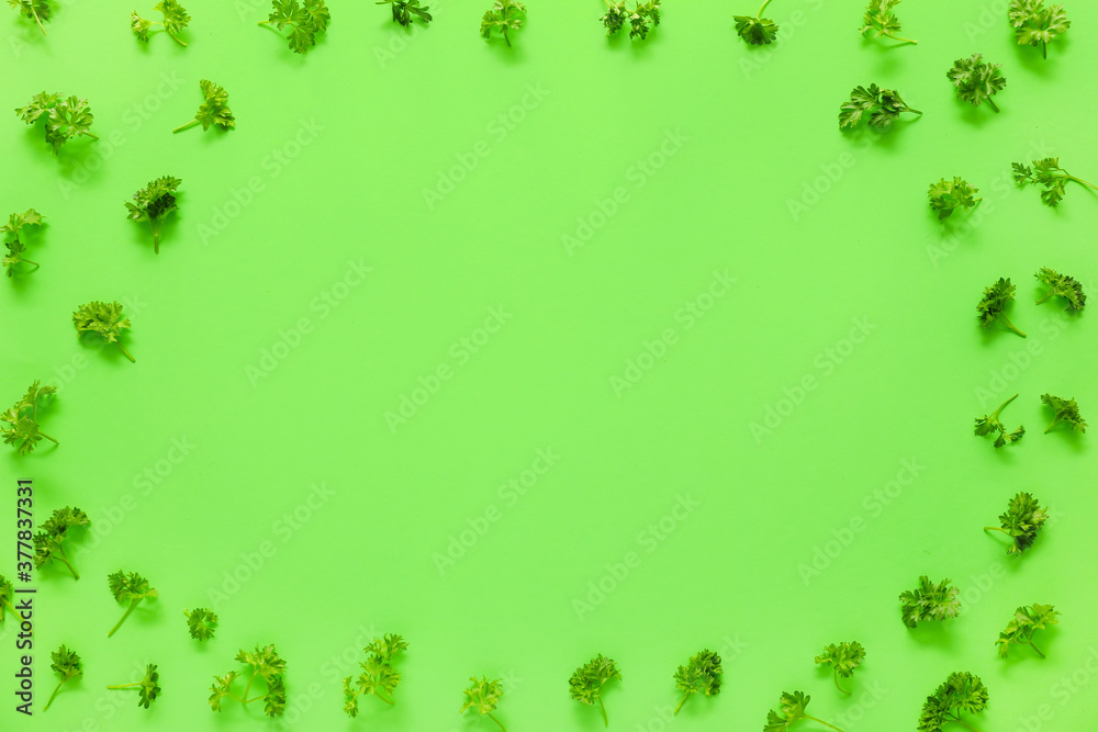 Frame made of fresh parsley on color background Frame made of fresh parsley on color background