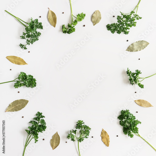 Frame made of fresh parsley and spices on white background