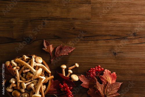 Autumn background frame. Red leaves, viburnum berries and fresh mushrooms in wooden plate on wooden desk. Space for text