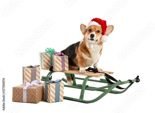 Cute dog with Christmas gifts and sledges on white background photo