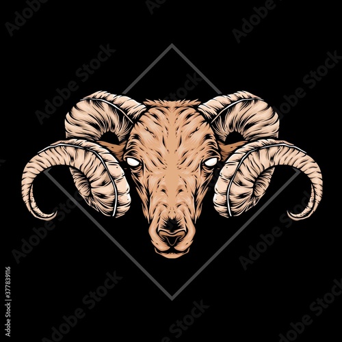 goat with curved horns vector head