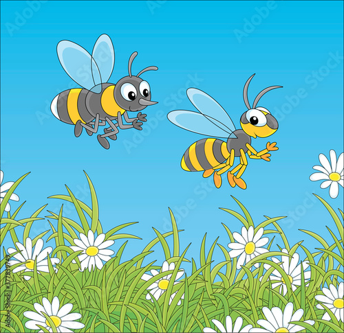 Striped yellow and black bee and wasp buzzing and flying over a green field with flowering white chamomiles on a warm summer day, vector cartoon illustration
