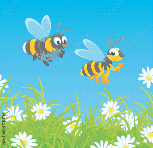 Striped yellow and black bee and wasp buzzing and flying over a green field with flowering white chamomiles on a warm summer day  vector cartoon illustration