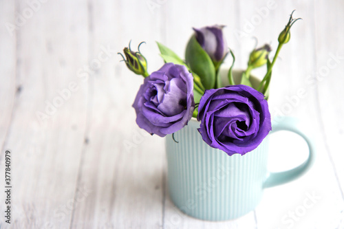 Fototapeta Naklejka Na Ścianę i Meble -  Beautiful purple roses in a blue cup on a light background. Close up. Background with copy space