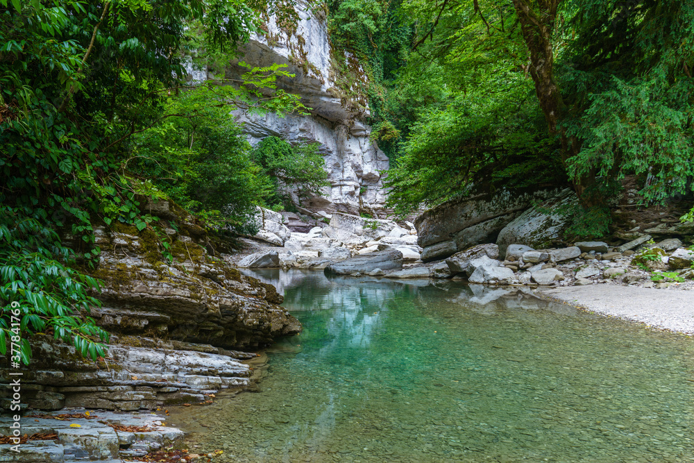 Fototapeta premium Calm river with clear water between white rocks. Green forest