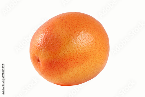 Orange one on white background