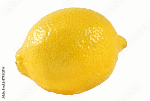 Lemon one on white background