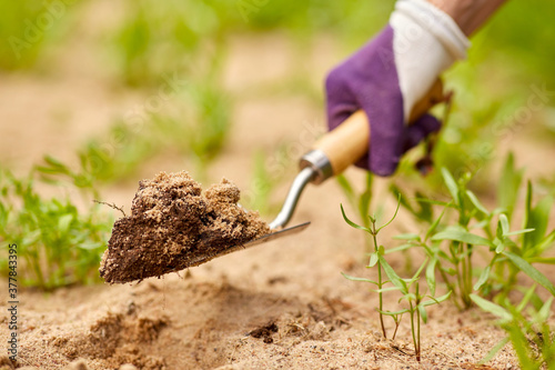 gardening and people concept - hand digging flowerbed ground with garden trowel