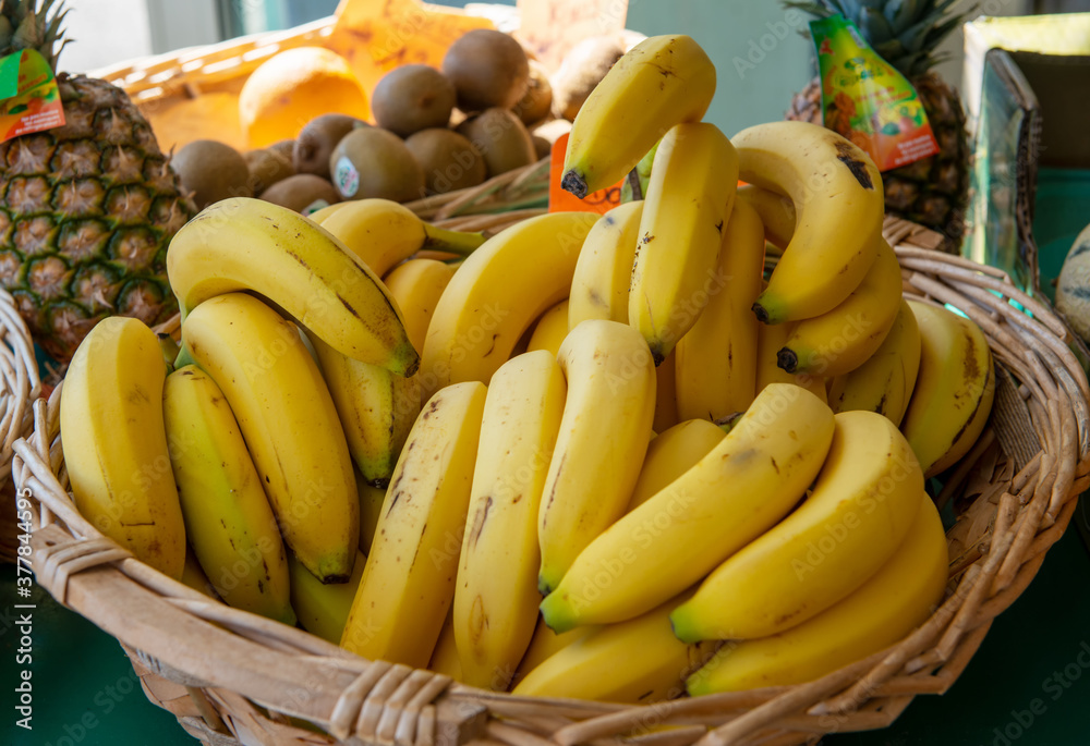 basket of bananas in the market place