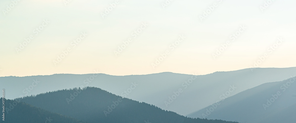 Mountain landscape. Morning panorama of mountains and forest.