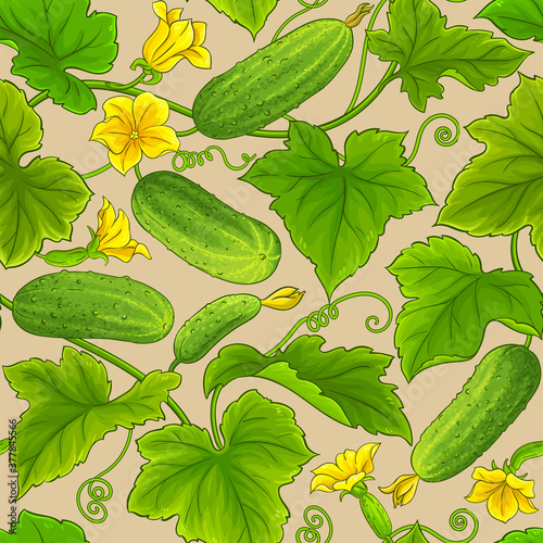 cucumber vector pattern