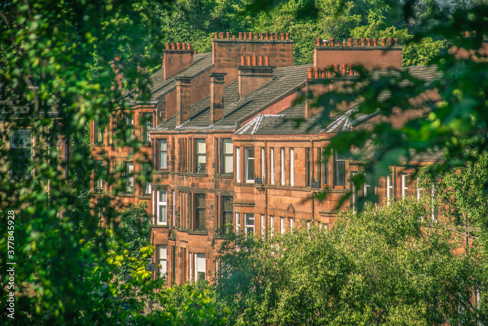 Fototapeta premium A Leafy Street With Traditional Red Sandstone Tenement Flats in Glasgow Scotland