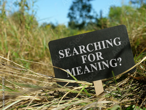 Фотография Searching for meaning question a small sign on a path in the forest