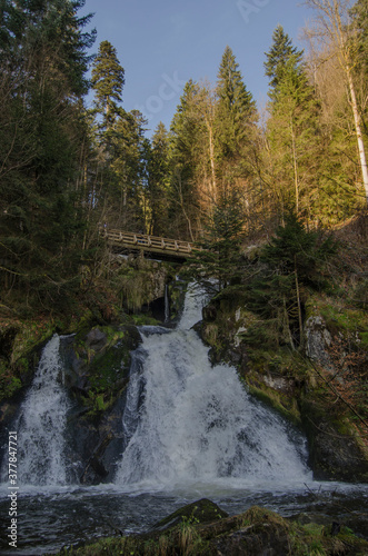 Triberg waterfall between trees  in Black Forest