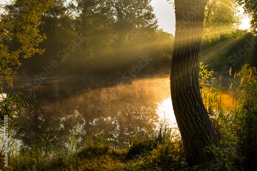 Früherbstlicher Sonnenaufgang im Ried nahe Kappel-Grafenhausen in der ortenau photo