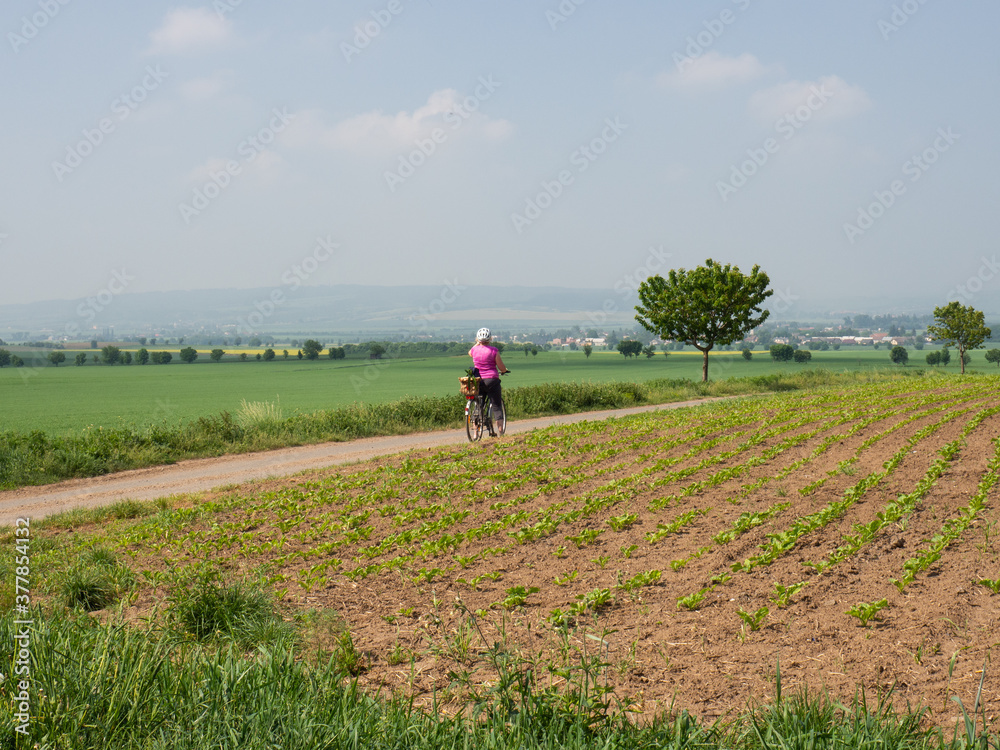 Cyclist woman riding bike between fields