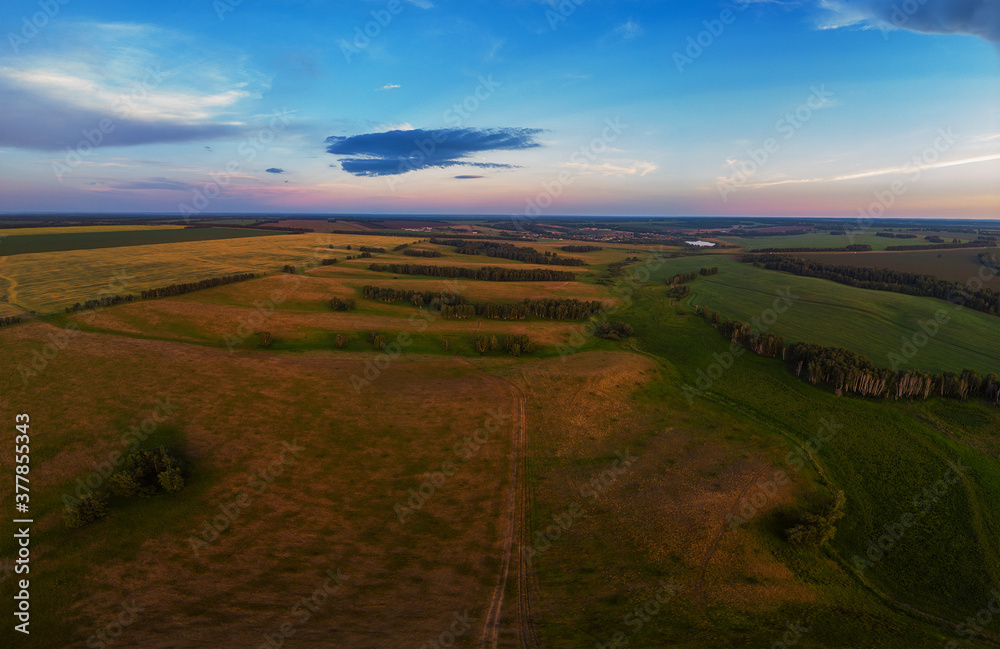 Top aerial view of green fields and meadows in evening summer
