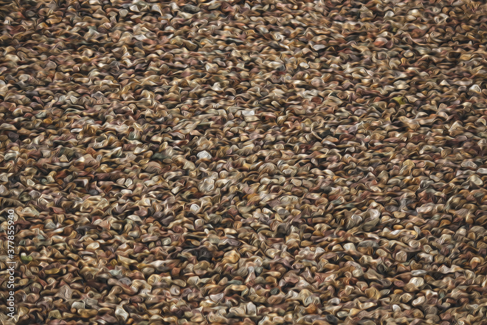 the texture of the ground the texture of the ground