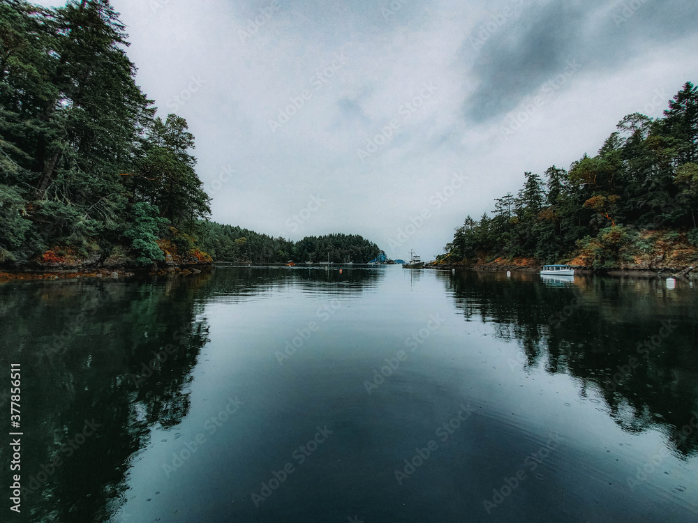 Fototapeta premium Butchart Cove 