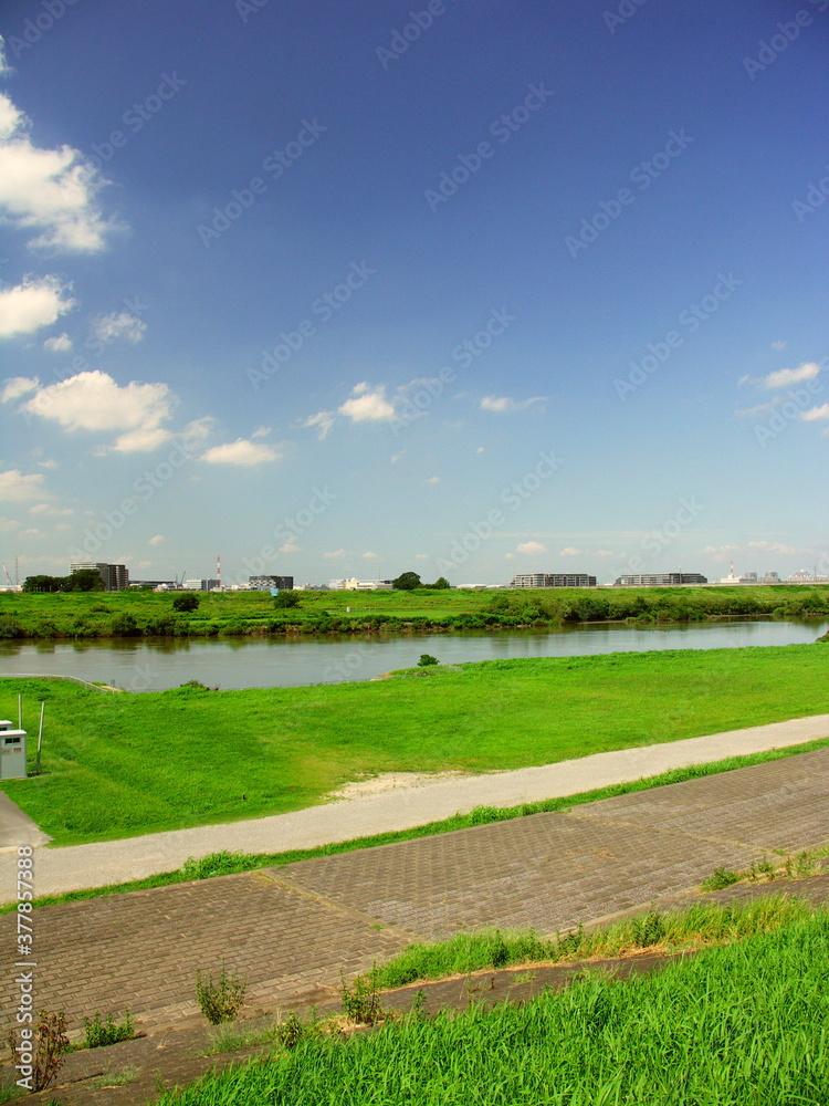 Naklejka premium 9月の朝の護岸と江戸川河川敷風景