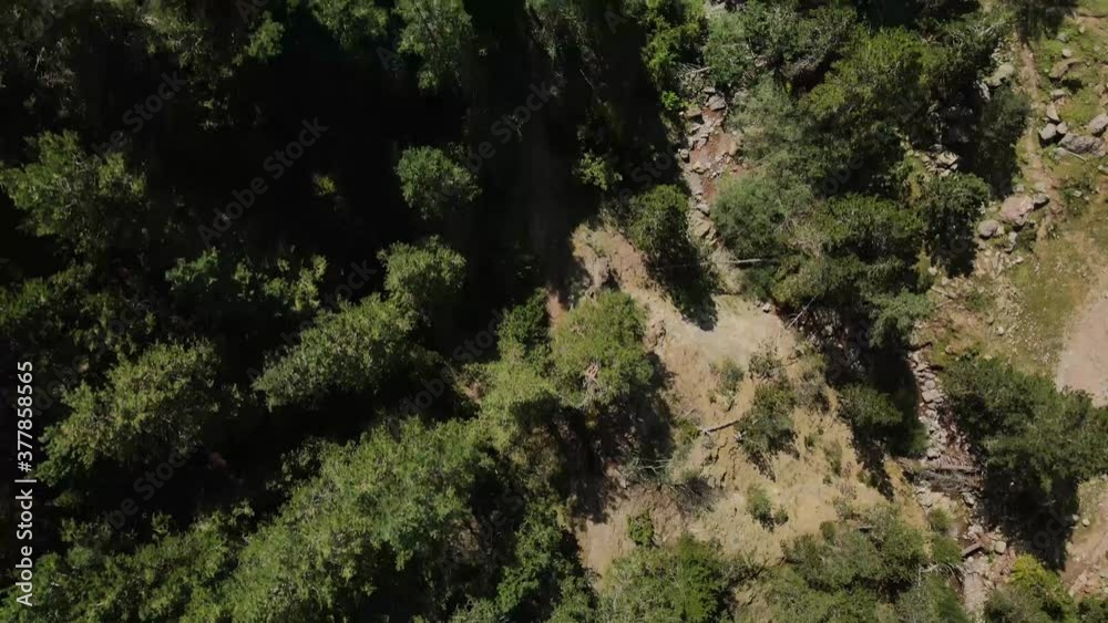 Drone zenital view of a forest and a little river in La Cerdanya, Catalunya 4k Drone zenital view of a forest and a little river in La Cerdanya, Catalunya 4k