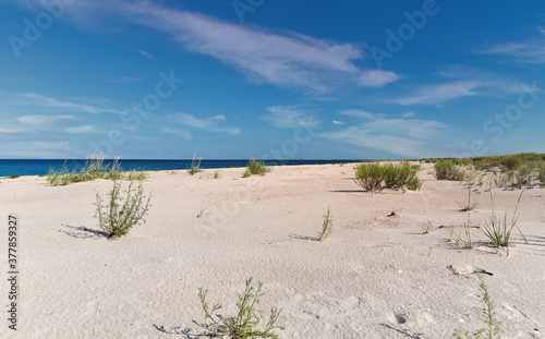 Wild beach landscape near Prymorske  Ukraine.