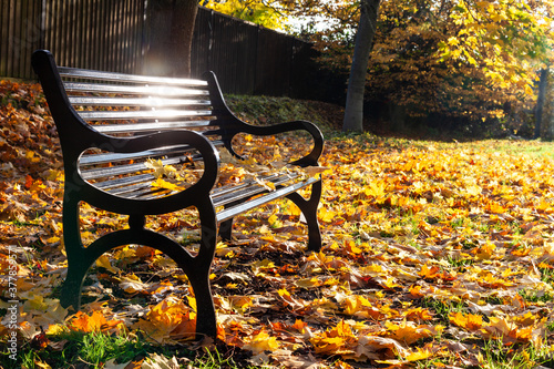 Quadro em tela Loss Bereavement Concept Empty Park Bench