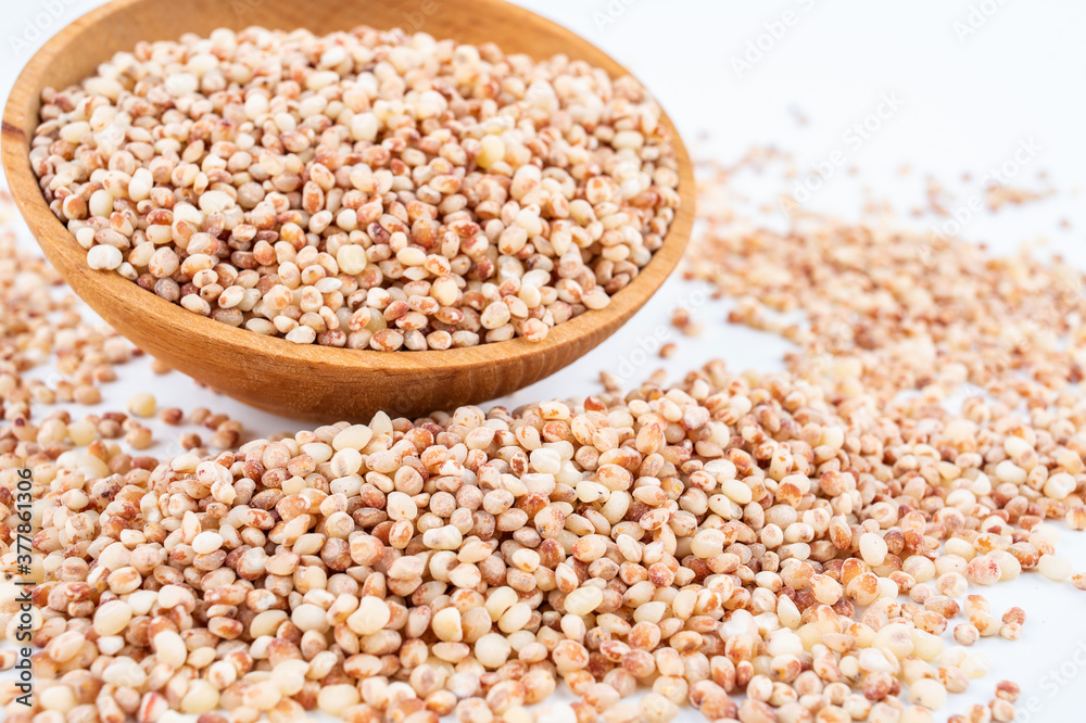 Grain grain sorghum rice in a dish on white background Grain grain sorghum rice in a dish on white background