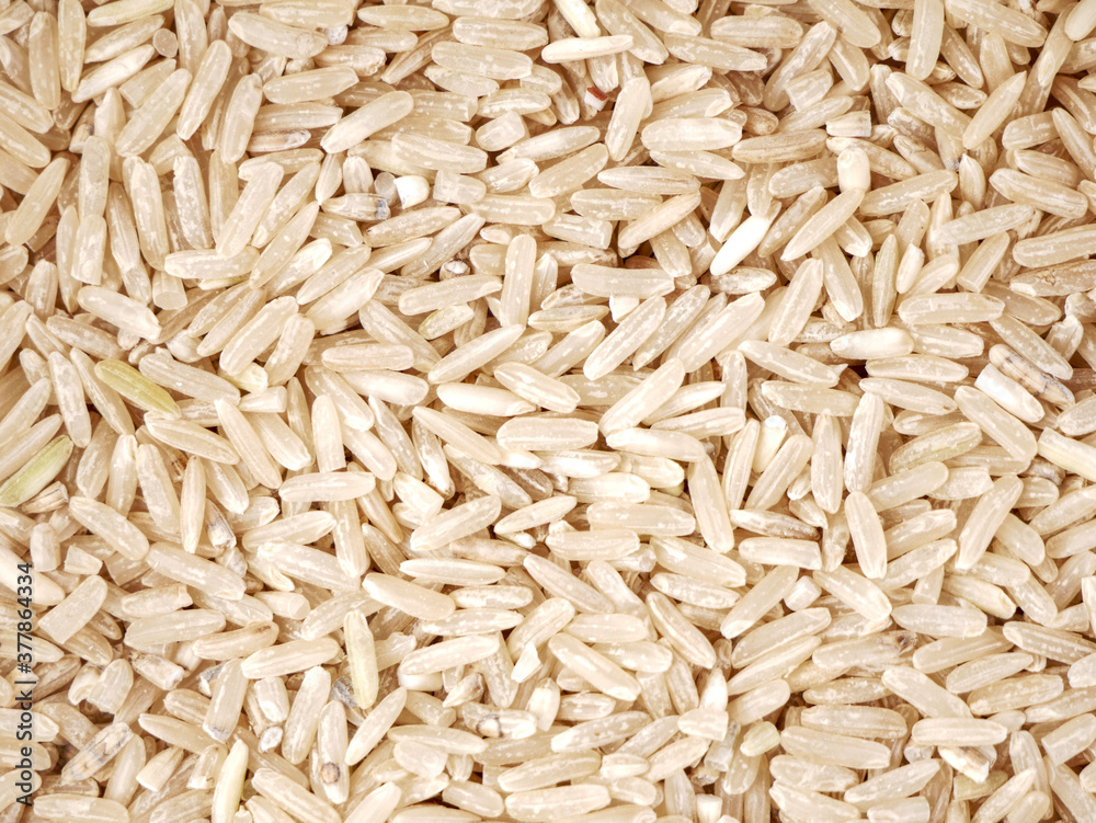 Grains of brown rice. Full frame. Grains of brown rice. Full frame.