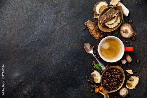 Mushroom Chaga Coffee Superfood Trend-dry and fresh mushrooms and coffee beans on dark background