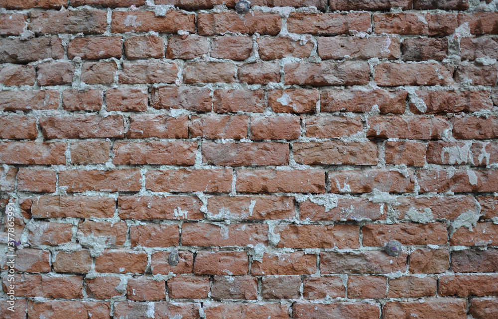 Naklejka premium old brick wall