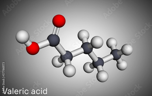 Valeric acid, pentanoic acid or valerate molecule. Molecular model photo