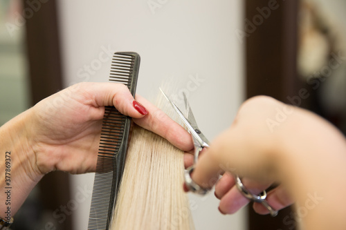 The hairdresser cuts the hair of a blonde woman.