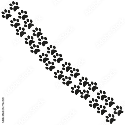 Footpath trail of animal. Dog or cat paws print isolated on white background.