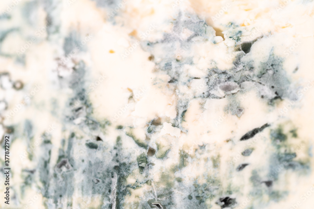 Obraz premium Blue Cheese