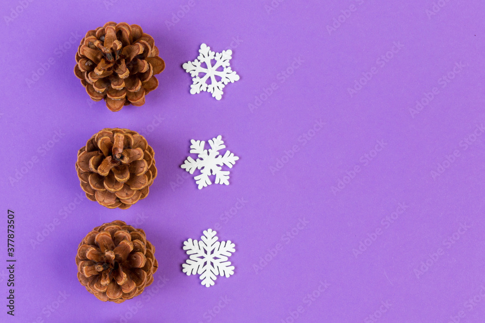 Top view of holiday composition made of pine cones and white snowflakes on colorful background. Winter time and Christmas concept with copy space
