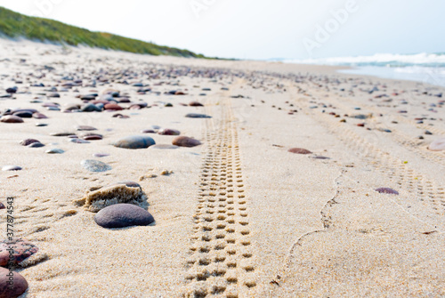 Bike or motorbike tire track or trace in the sand on the shore with Baltic Sea and dunes on background
