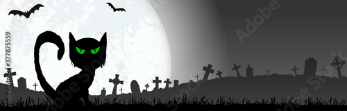 halloween spooky cat front of full moon