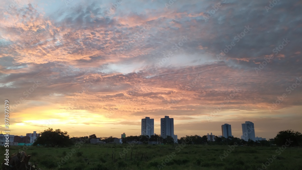 sunset over the city