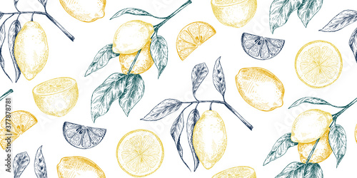 Vector seamless pattern with hand drawn fresh lemon tree branches, fruits and flowers in sketch style.