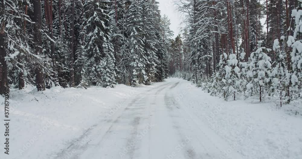 Snow covered icy road in forest in winter Snow covered icy road in forest in winter