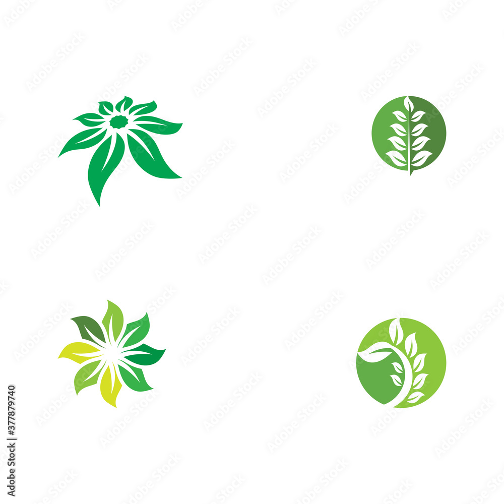 Set Green garden green leaf Logo Template