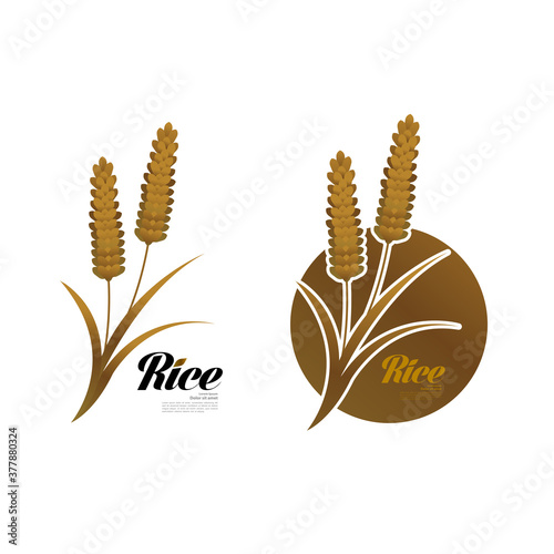 Premium Rice great quality design concept  vector.