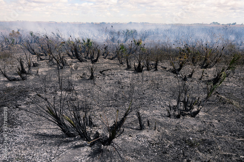 Wasteland remains smoldering with embers after wild fire burned through 