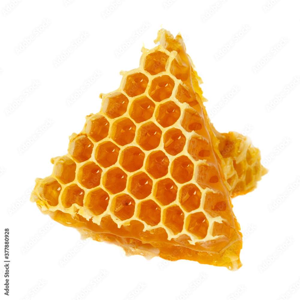 Healing wild honeycomb isolated on white background. Sweet natural and healthy delicacy. Propolis, beeswax and honey. Healing wild honeycomb isolated on white background. Sweet natural and healthy delicacy. Propolis, beeswax and honey.
