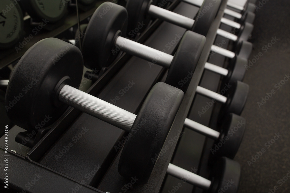 Background of dumbbells on rack in fitness and workout room.Selective focus