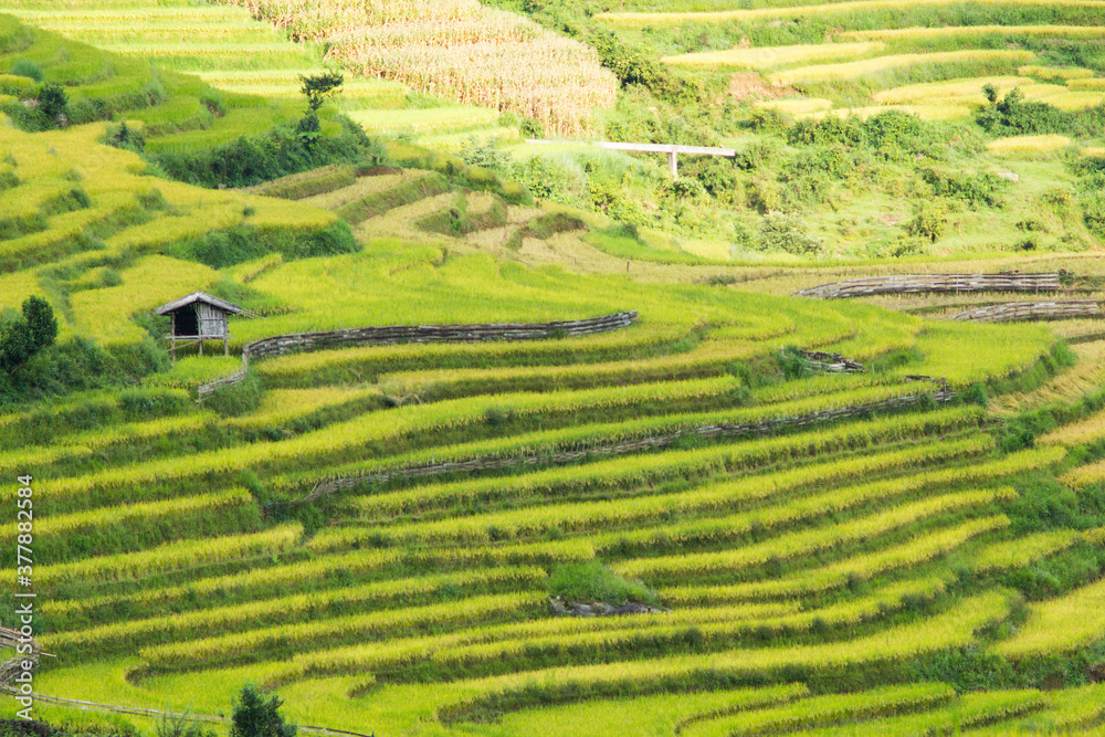 Amazing landscape in Northwest Vietnam. Terraced fields in Ta Xua, Bac Yen, Son La province, Vietnam. At an altitude of 2000m above sea level, this place is also known by the name: Clouds Paradise. Amazing landscape in Northwest Vietnam. Terraced fields in Ta Xua, Bac Yen, Son La province, Vietnam. At an altitude of 2000m above sea level, this place is also known by the name: Clouds Paradise.