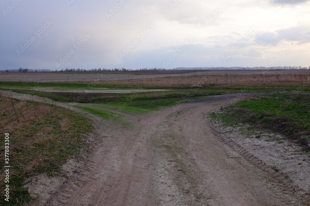 Two diverging dirt roads. A fork in two roads in a field in the late evening. Two diverging dirt roads. A fork in two roads in a field in the late evening.