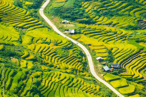 Amazing landscape in Northwest Vietnam. Terraced fields in Ta Xua, Bac Yen, Son La province, Vietnam. At an altitude of 2000m above sea level, this place is also known by the name: Clouds Paradise. photo