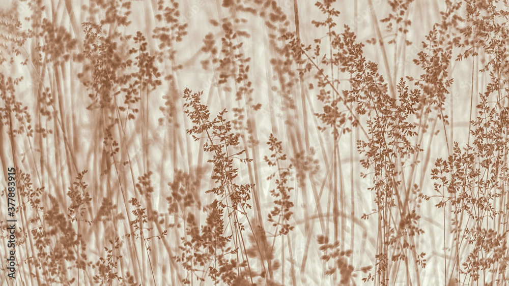 Fototapeta premium Brown abstract background with plant grass pattern, 16:9 panoramic